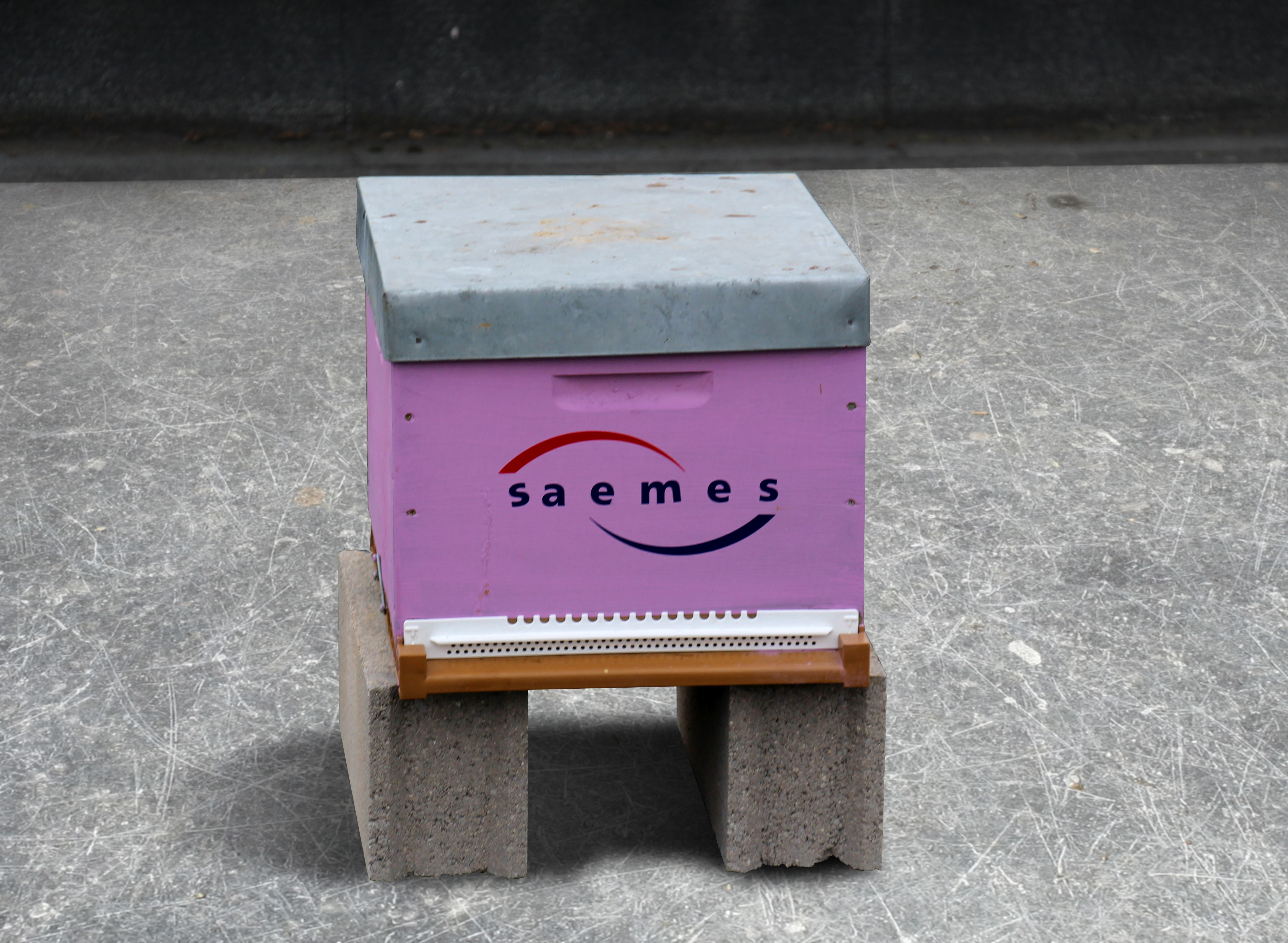 rucher Saemes rucher Saemes