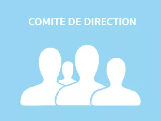 Comité de direction