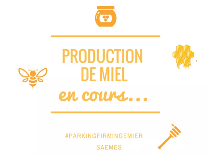 Ruches-production-miel